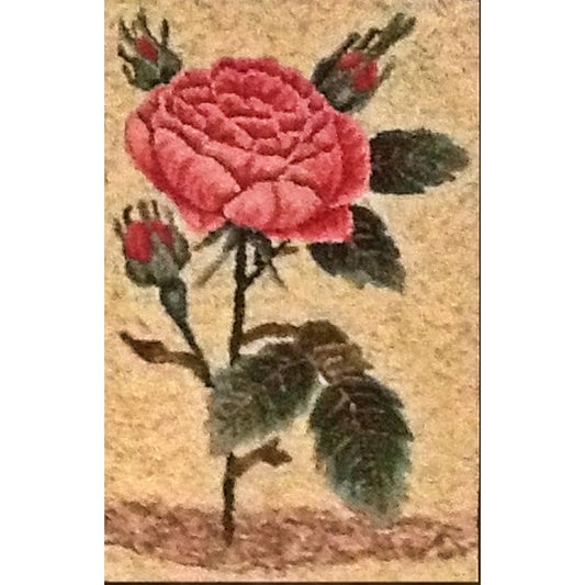 PR1566: French Rose